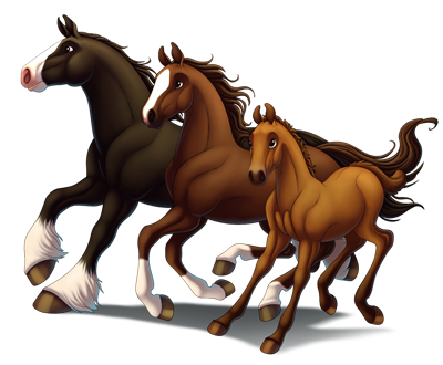 Horses Horses